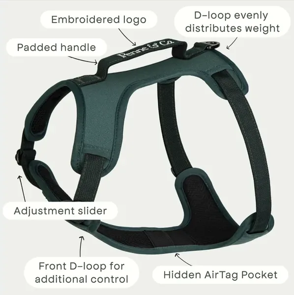 Annotated diagram of the Brecon harness showing Y-shape design, front D-ring, chest plate, and rear D-ring