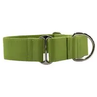 Martingale