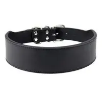 Padded Collar