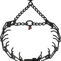 Prong Collar